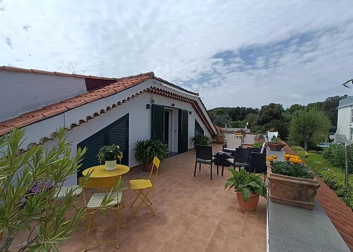 Casa Olivella Apartments View Terrace