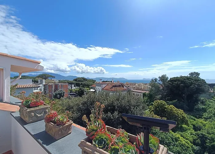 Casa Olivella Apartments View Terrace